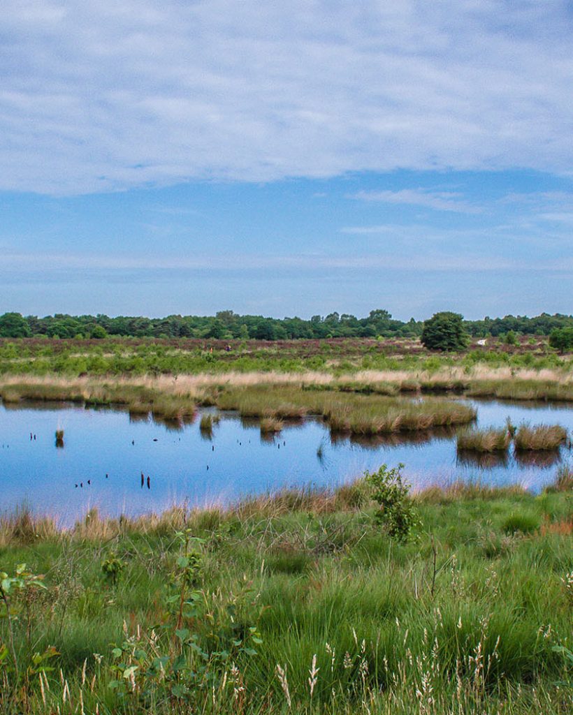 Westerhaar huisarts